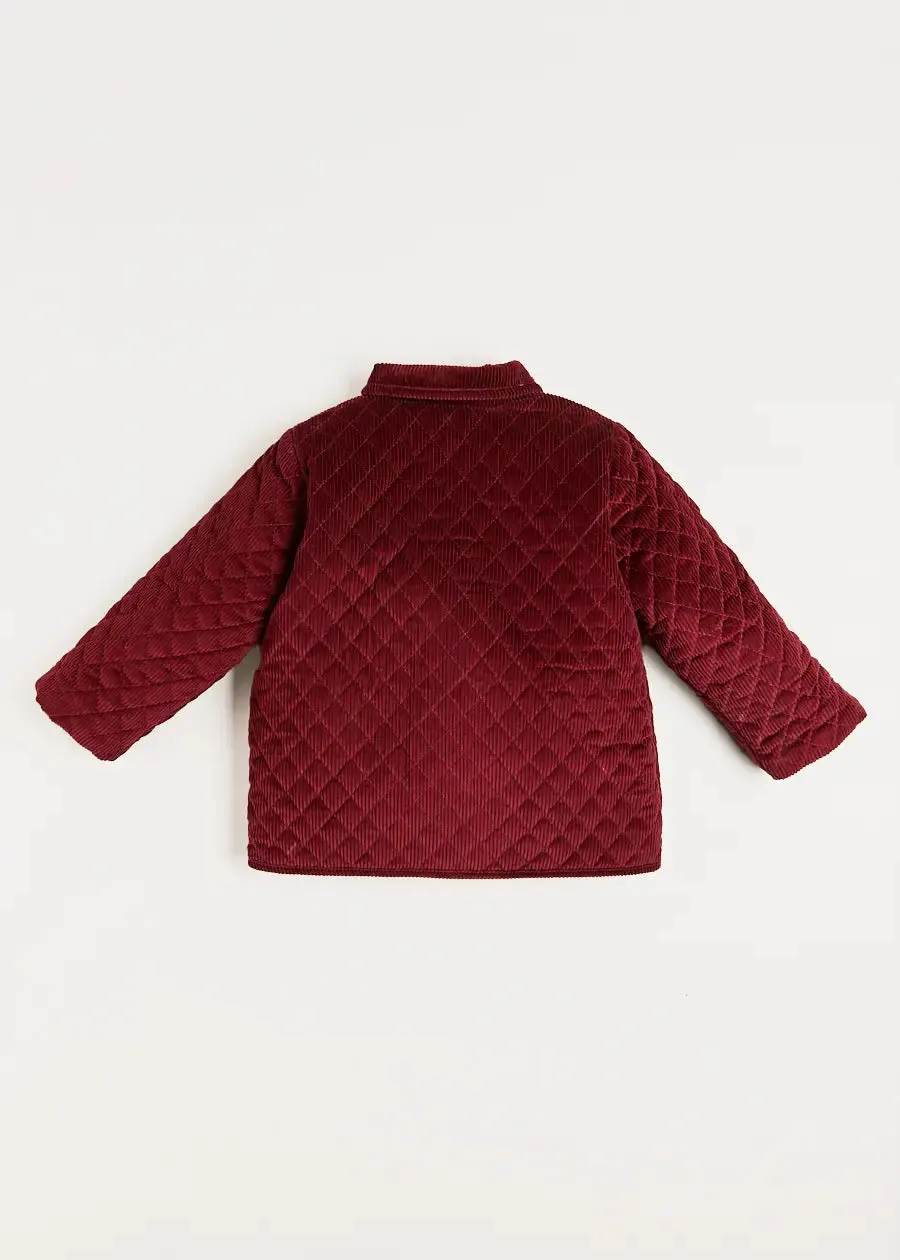 Corduroy Quilted Jacket in Burgundy (4-10yrs)