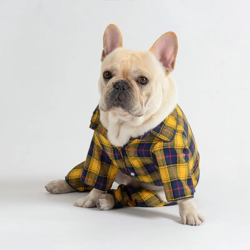 Cozy and Chic Frenchie Winter Outfit for Warmth and Style