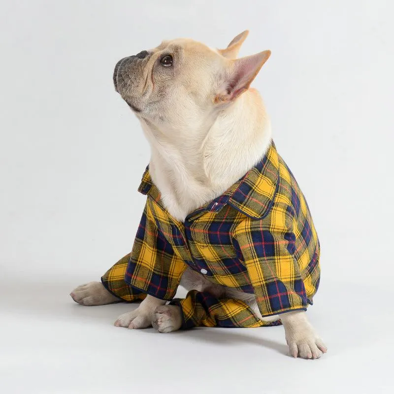 Cozy and Chic Frenchie Winter Outfit for Warmth and Style