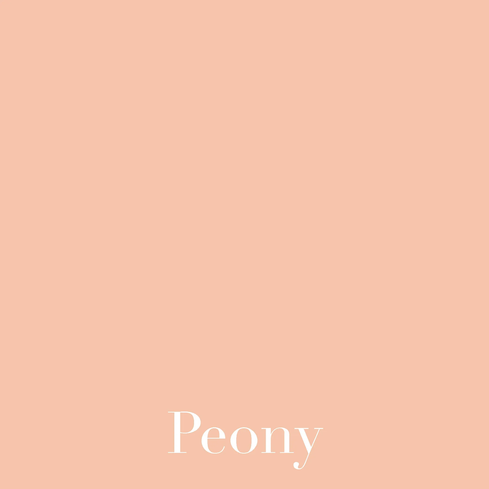 Peony - LUXE Solids Jersey Knit - 1/2 Metre